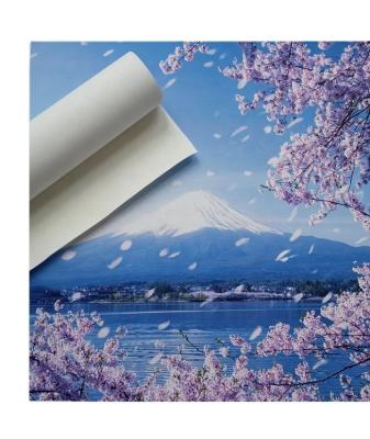 China UV Inkjet Printing and ECO-solvent Ink Poly-cotton 340g Waterproof Inkjet Digital Printing Art Fabric Canvas Roll For for sale