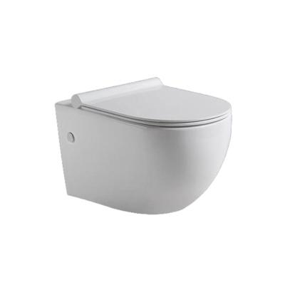 China Modern Customized Wall Mounted Ceramic Washdown Bowl Drain Valve Wc Luxury Chinese Toilet for sale