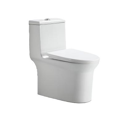 China Diverse Good Quality Double-Flow Promotional Tornado Washdown One Piece Toilet for sale