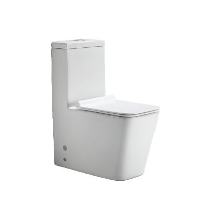 China Wholesale Double-Flow Bathroom Double-Flow Washdown Lavatory One-Piece Floor-Mounted Ceramic Toilet for sale