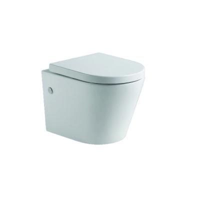 China Concealed Cistern Wall Hung Round CE Rimless Toilet / Golden Square Wall Mounted European Toilet Seat WC WC for sale