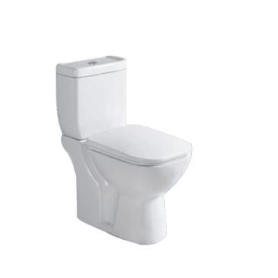 China Modern washdown design two-piece special toilet for sale