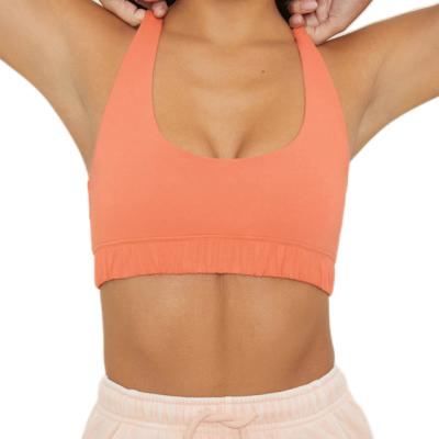 China Breathable Women's Solid Color Shockproof Fitness Gather Yoga Sports Bra for sale