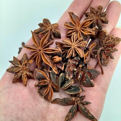 China Condiment Illicium Verum Extract Natural Dry Star Anise for sale