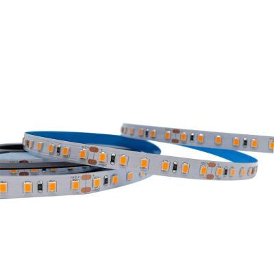 China Wholesale 5M 10m For Hotel Living Room Strong Low Voltage 12V 24V 120Led/m 8MM 2835 Led Strip for sale