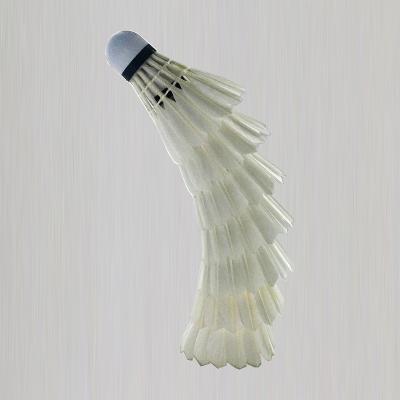 China Wholesale Cheap Trainning Duck Feather Badminton Shuttlecock for sale