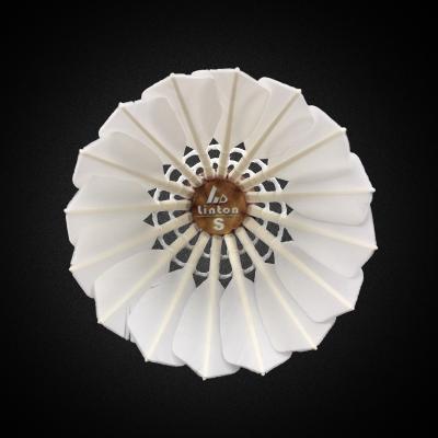 China 2022 Professional Tournament White Goose Feather Badminton Shuttlecock for sale