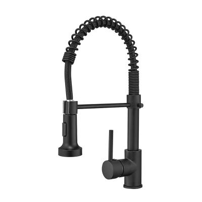 China Kitchen Sink Mixer Tap Faucets FLG: B189 Black Two Way Lower Spring Brass Kitchen Faucet For Sink Pull Out Faucet Kitchen for sale