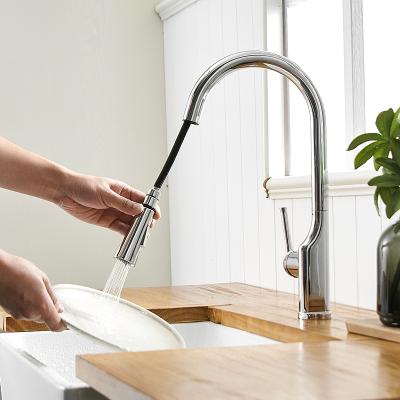 China Kitchen Faucet FLG Outdoor Sanitary Ware Outdoor Extendable Pull Down Kitchen Faucet for sale