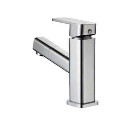 China Modern Basin Faucet FLG602A Finish Pull Out Bathroom Chrome Basin Faucet Faucet for sale