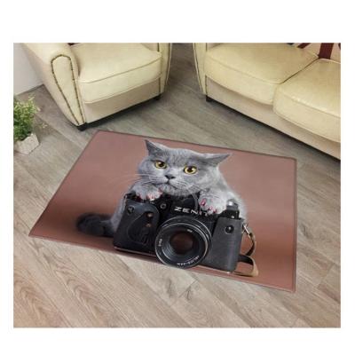 China Large Size Washable Floor Mat Entrance Floor Mat Custom Printed Logo Door Mat for sale