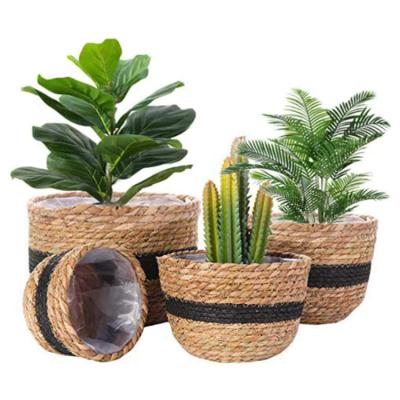 China Sustainable Black Husk Corn Husk Seaweed Flowerpot Storage Waterproof Storage Basket for sale