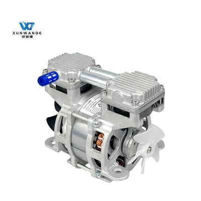 China Quiet Double Head Oilless Vacuum Pump Electric Micro 220V/110V AC for sale