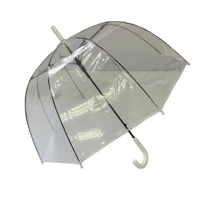 China Contemporary Clear Transparent POE Umbrella With Reflective Line Inside Automatic Open Edge Bubble Umbrella for sale