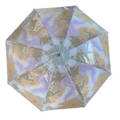 China Contemporary Clear Transparent Umbrella Grids Printing Lady Umbrella Auto Open Rain Cool Straight Umbrella POE for sale