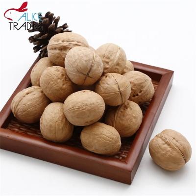 China Whole Grade Chinese Wholesale Price Top Walnut In Shell for sale