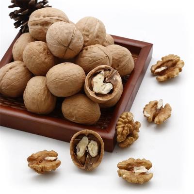 China Whole Skin Top Walnut Paper Grade Chinese Walnut for sale