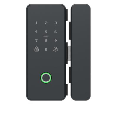 China Tuya APP Tuya TT Lock Wifi Open Sliding Door Lock Electronic Office Security Smart Glass IC Card for sale