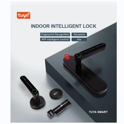 China Flexible Hotel Apartments Office Home App Control With All Two Direction New Generation Smart Indoor Lock for sale