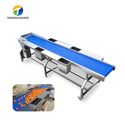 China Easy Operation Automatic Stainless Steel Vegetable and Fruit Sorter Selection Table TS-GF25 for sale