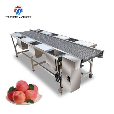 China Easy Operation Automatic Stainless Steel Vegetable and Fruit Sorter Selection Table TS-GF25A for sale