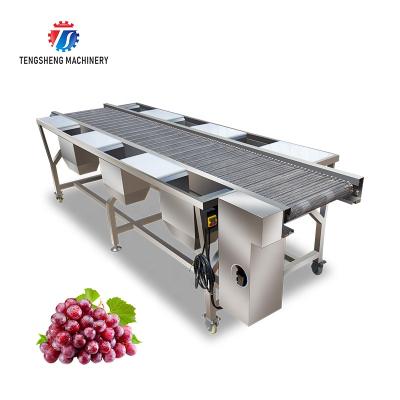 China Easy Operation Automatic Stainless Steel Vegetable and Fruit Sorter Selection Table TS-GF25A for sale