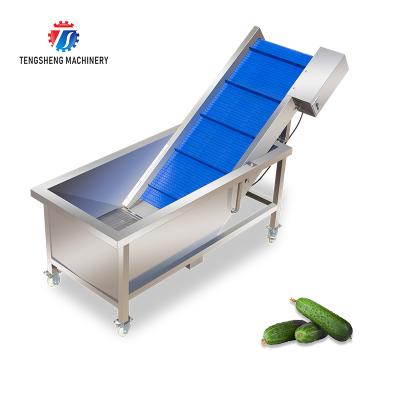 China High Efficiency Easy Operate Industrial Stainless Steel Automatic Vegetable Lift Customized Material Transport Machine TS-T30 for sale