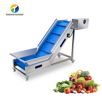 China High Efficiency Easy Operate Industrial Fruit And Vegetable Automatic Lift Food Conveying Food Processing Machine TS-T30 for sale