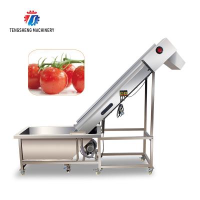 China High Efficiency Easy Operate Multifunctional Automatic Vegetable Fruit And Orange Pre-foaming Lift Machine TS-T30A for sale