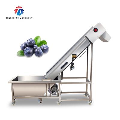 China High Efficiency Easy Operate Industrial Pre-foaming Vegetable And Fruit Lift Machine Food Processor TS-T30A for sale