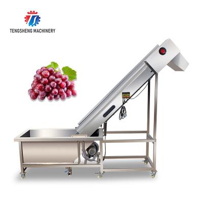 China High Efficiency Easy Operate Automatic Vegetable and Fruit Pre-infusion Elevator Food Processing Machine Ts-T30A for sale