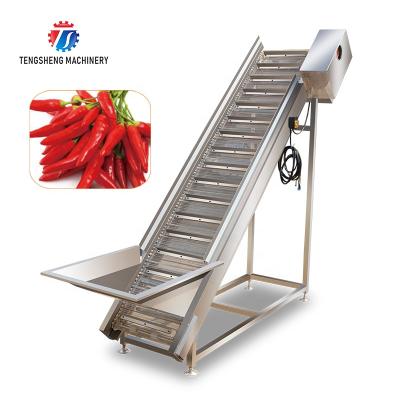 China High Efficiency Easy Operate Automatic Fruit And Vegetable Elevator Food Conveying Food Processing Machine TS-T30B for sale