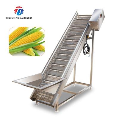 China High Efficiency Easy Operate Automatic Fruit And Vegetable Elevator Food Conveying Food Processing Machine TS-T30B for sale