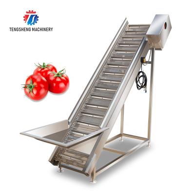 China High Efficiency Easy Operate Large Vegetable And Fruit Lift Machine Food Processor TS-T30B for sale