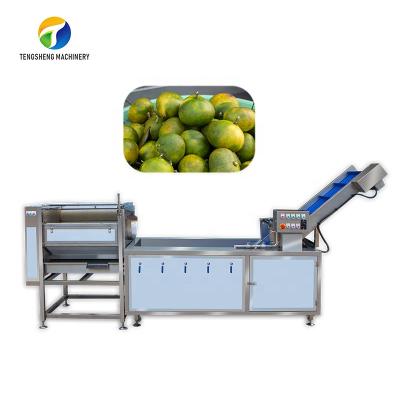 China food & Industrial Beverage Factory Guava Citrus Brush Ozone Disinfecting Bubble Washing Production Line for sale