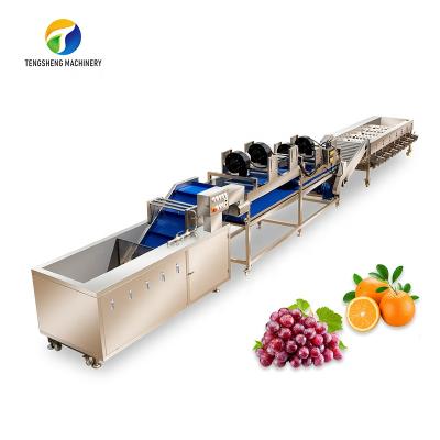 China food & Industrial Beverage Factory Fruits And Vegetables Sorting Washing Cutting Sterilization Transport Drying Processing Line for sale