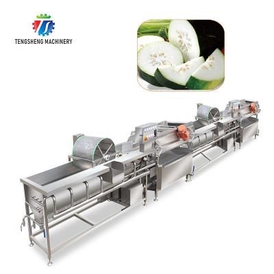 China High efficiency double current vortex vegetable and fruit bubble wash vibration pump production line for sale