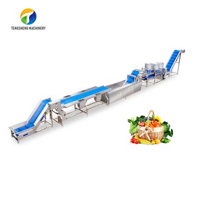 China food & Industrial Beverage Factory Vegetable And Fruit Pick Washing And Drying Machine Production Line for sale