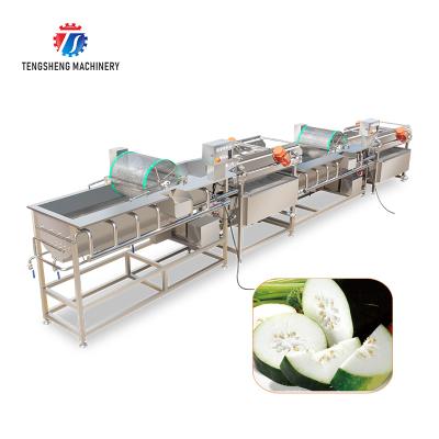 China High Efficiency Double Eddy Current Vegetable And Fruit Machine Production Automatic Cleaning Line for sale