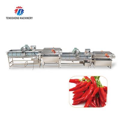 China High Efficiency Double Current Vibrating Vortex Vegetable And Fruit Bubble Drying Production Line for sale