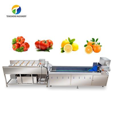 China food & Beverage Factory Stainless Steel Vegetable And Fruit Brush High Pressure Jet Bubble Washing Machine Production Line for sale