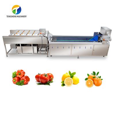 China food & Industrial Beverage Factory Stainless Steel Vegetable And Fruit Brush Cleaning Machine Production Line for sale