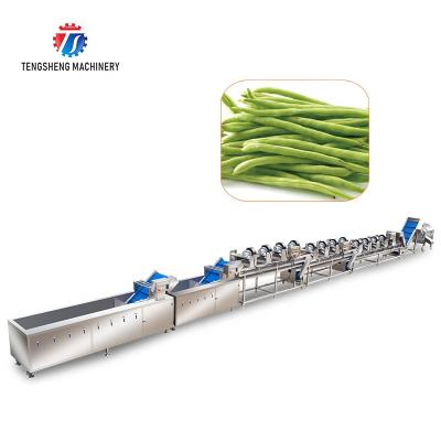 China High Efficiency Large Scale Vegetable Tomato Potato Fruit Cleaning And Drying Cutting Production Line for sale