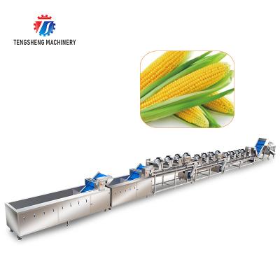 China Industrial Washing And Drying Cut Fruit Vegetable And Fruit Processing Production Line for sale