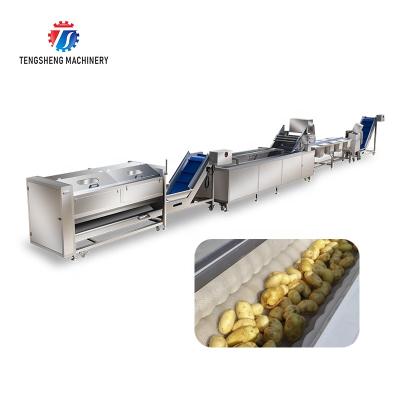 China Multifunctional Roller Bubble Easy Plant Hair Operation Selection And Cutting Machine Cleaning Production Line for sale