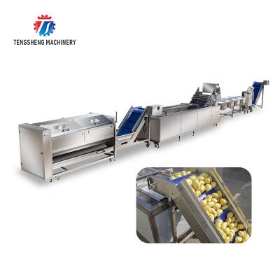 China Roller Easy Bubble Vegetable Hair Operation Selection And Cutting Machine Cleaning Production Line Kitchen Food Processing Equipment for sale