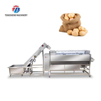 China Industrial Vegetable And Fruit Wool Roller Machine Production Pre-Foaming Lifting Washing Cleaning Line Easy Operation for sale