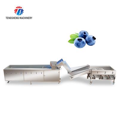 China High Efficiency Multifunctional Automatic Fruit Washing And Sorting Machine Food Processor Production Line for sale