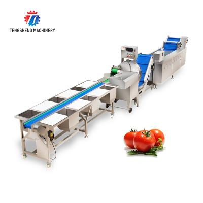 China Cutting And Washing Line Food Production High Efficiency Multifunctional Automatic Vegetable Breeding Machine for sale