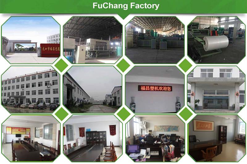 Verified China supplier - Longkou FuChang Packing Machinery Co.,Ltd